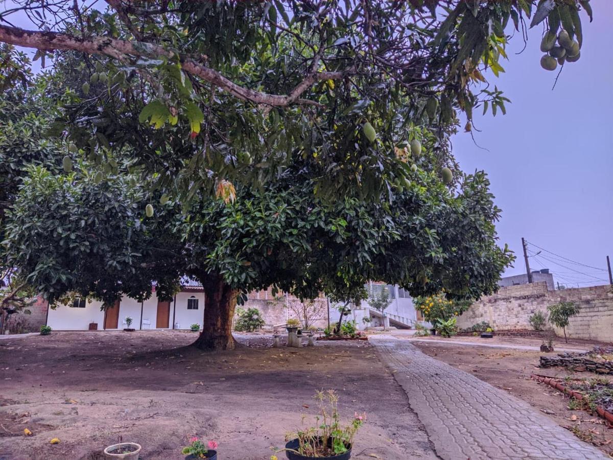 Pousada Viana Garanhuns Εξωτερικό φωτογραφία